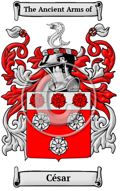 César Family Crest Download (JPG) Heritage Series - 300 DPI