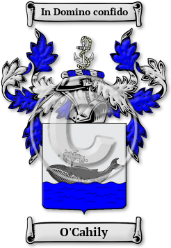O'Cahily Family Crest Download (jpg) Legacy Series - 150 DPI