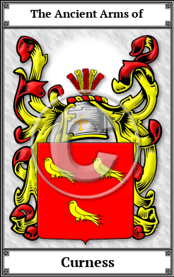Curness Family Crest Download (JPG)  Book Plated - 150 DPI