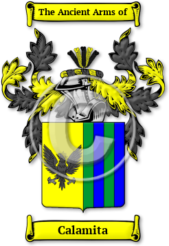 Calamita Family Crest Download (jpg) Legacy Series - 150 DPI
