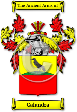 Calandra Family Crest Download (jpg) Legacy Series - 150 DPI