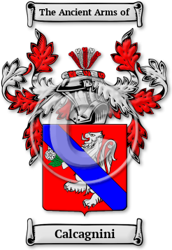 Calcagnini Family Crest Download (jpg) Legacy Series - 150 DPI