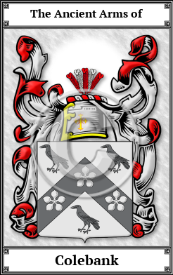 Colebank Family Crest Download (JPG) Book Plated - 600 DPI