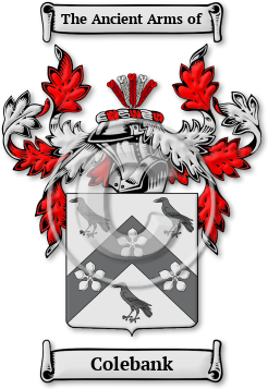 Colebank Family Crest Download (JPG) Legacy Series - 600 DPI
