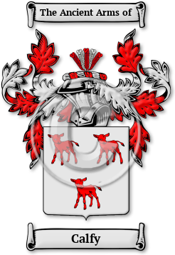 Calfy Family Crest Download (JPG) Legacy Series - 600 DPI