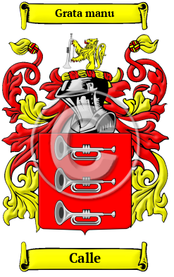 Calle Family Crest Download (JPG) Heritage Series - 600 DPI