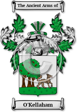 O'Kellaham Family Crest Download (JPG) Legacy Series - 600 DPI