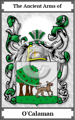O'Calaman Family Crest Download (JPG)  Book Plated - 150 DPI