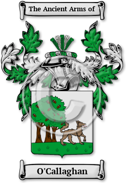 O'Callaghan Family Crest Download (jpg) Legacy Series - 150 DPI