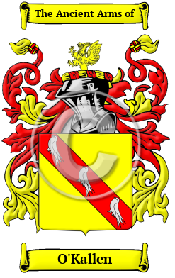 O'Kallen Family Crest/Coat of Arms