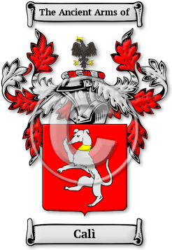 Calì Family Crest Download (jpg) Legacy Series - 150 DPI