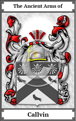 Callvin Family Crest Download (JPG)  Book Plated - 150 DPI