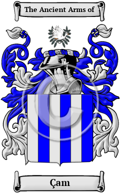 Çam Family Crest Download (JPG) Heritage Series - 300 DPI