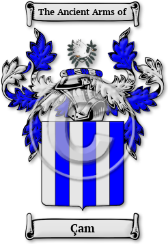 Çam Family Crest Download (jpg) Legacy Series - 150 DPI