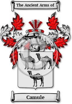 Camule Family Crest Download (jpg) Legacy Series - 150 DPI