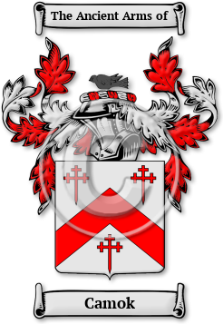 Camok Family Crest Download (jpg) Legacy Series - 150 DPI