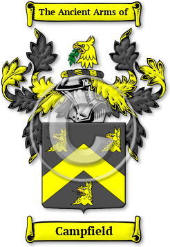 Campfield Family Crest Download (JPG) Legacy Series - 600 DPI