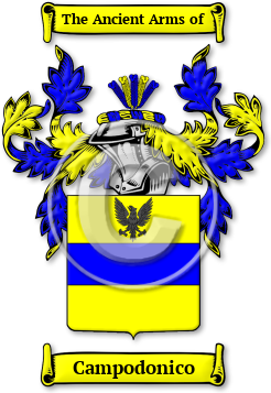 Campodonico Family Crest Download (jpg) Legacy Series - 150 DPI