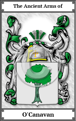O'Canavan Family Crest Download (JPG) Book Plated - 150 DPI