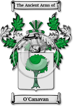 O'Canavan Family Crest Download (JPG) Legacy Series - 600 DPI