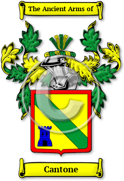 Cantone Family Crest Download (jpg) Legacy Series - 150 DPI