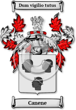 Canene Family Crest Download (jpg) Legacy Series - 150 DPI