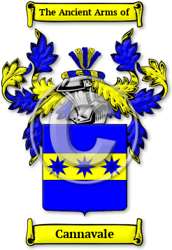 Cannavale Family Crest Download (JPG) Legacy Series - 600 DPI