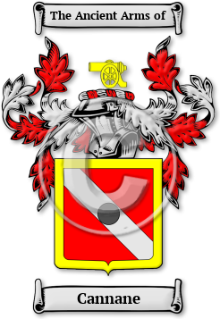 Cannane Family Crest Download (jpg) Legacy Series - 150 DPI