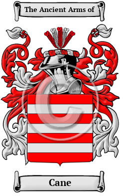 Cane Family Crest Download (JPG) Heritage Series - 600 DPI