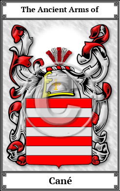 Cané Family Crest Download (JPG) Book Plated - 600 DPI