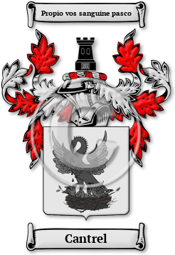 Cantrel Family Crest Download (jpg) Legacy Series - 150 DPI