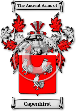 Capenhirst Family Crest Download (jpg) Legacy Series - 150 DPI