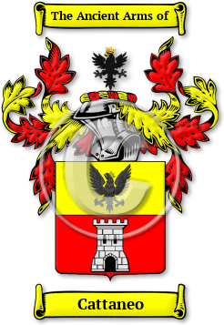 Cattaneo Family Crest Download (jpg) Legacy Series - 150 DPI
