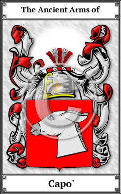 Capo' Family Crest Download (JPG)  Book Plated - 150 DPI