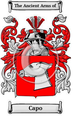 Capo Family Crest Download (JPG) Heritage Series - 600 DPI