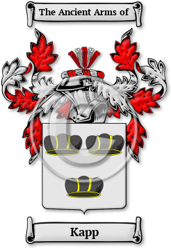 Kapp Family Crest Download (JPG) Legacy Series - 300 DPI