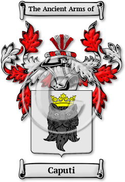 Caputi Family Crest Download (JPG) Legacy Series - 600 DPI