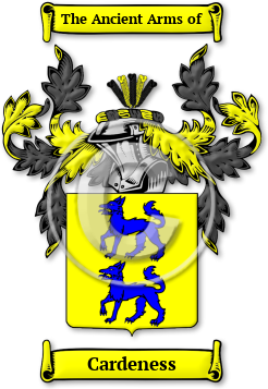 Cardeness Family Crest Download (JPG) Legacy Series - 600 DPI