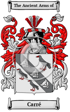 Carré Family Crest Download (JPG) Heritage Series - 300 DPI