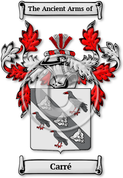 Carré Family Crest Download (JPG) Legacy Series - 600 DPI