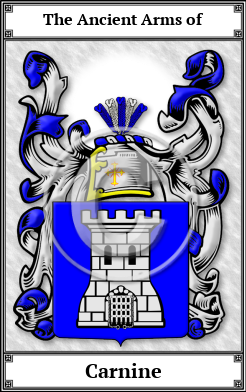 Carnine Family Crest Download (JPG)  Book Plated - 150 DPI