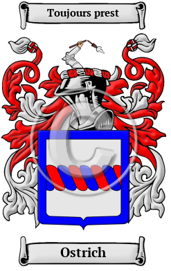 Ostrich Family Crest Download (JPG) Heritage Series - 600 DPI