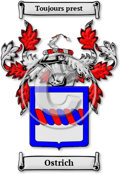 Ostrich Family Crest Download (JPG) Legacy Series - 600 DPI