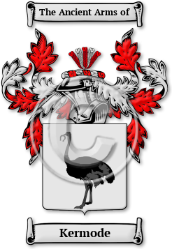 Kermode Family Crest Download (jpg) Legacy Series - 150 DPI