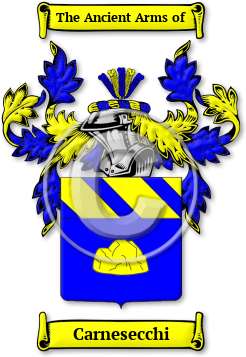 Carnesecchi Family Crest Download (jpg) Legacy Series - 150 DPI