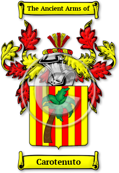 Carotenuto Family Crest Download (jpg) Legacy Series - 150 DPI