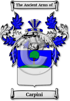 Carpini Family Crest Download (jpg) Legacy Series - 150 DPI