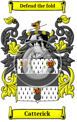 Catterick Family Crest/Coat of Arms