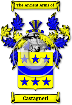 Castagneri Family Crest Download (jpg) Legacy Series - 150 DPI
