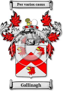 Gallinagh Family Crest Download (jpg) Legacy Series - 150 DPI